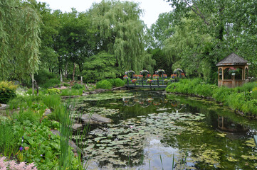Parc nature et marais fleuri, jour, horizontal