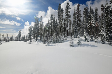 Winter Scene at Lassen National Park, California