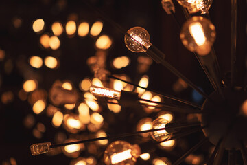 Group of lamps with interesting shape of tungsten filament. Detail of rounded light bulbs in low...