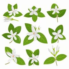 Stephanotis Flower Icon Set, Garden Madagascar Jasmine Flower Flat Design, Abstract Flower Symbol