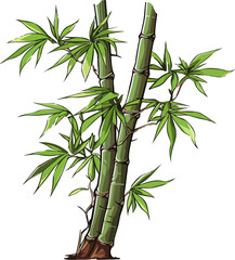 bamboo vector illustration isolated on white background. 
