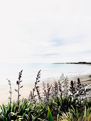 Beach, Taranaki, New Zealand