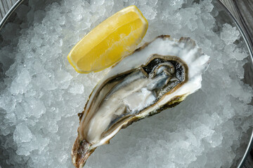 Fresh oyster on ice with lemon, fresh and beautiful.