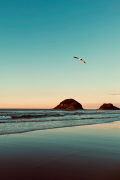  Back Beach, New Plymouth, New Zealand