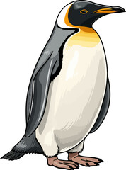 penguin vector illustration isolated on transparent background. 