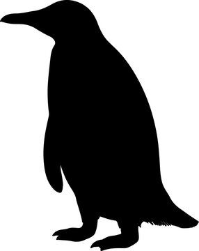 recommend clip art: penguin illustration isolated on transparent background. 