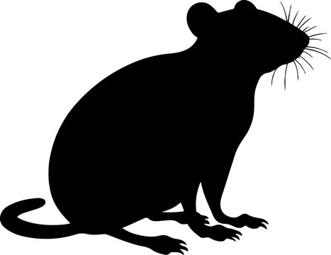 rat illustration isolated on transparent background. 
