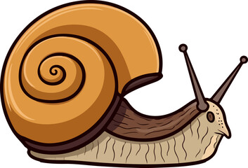 snail vector illustration isolated on transparent background. 

