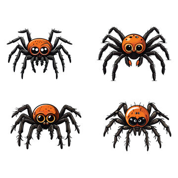 spider vector illustration isolated on white background. 
