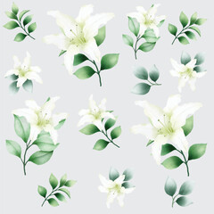 Hand drawn watercolor lily seamless pattern