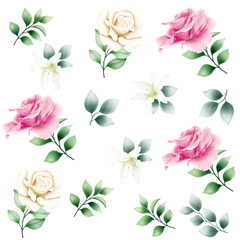 seamless pattern floral rose watercolor 