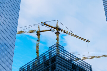 Soaring Cranes Over Sprawling Construction Site Amidst City Skyline