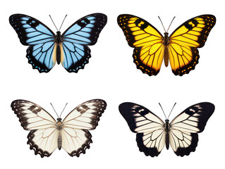 Set of butterfly isolated on transparent background, transparency image, removed background