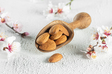 Fresh Raw Sweet almonds in wooden bowl or shovel with almond tree flowers on rustic background, nut, healthy food