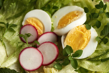 Close up of a spring salad with eggs and wild edible plants - chickweed, nipplewort and yarrow
