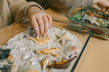 Sensory activity of a child, idea for an activity, top view