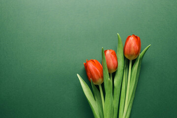 Bouquet of red tulips on green background. Mothers day, Valentines Day, Birthday celebration concept. Greeting card. Copy space for text, top view