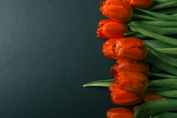 Bouquet of red tulips on dark background. Mothers day, Valentines Day, Birthday celebration...