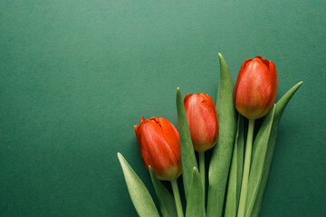 Bouquet of red tulips on green background. Mothers day, Valentines Day, Birthday celebration concept. Greeting card. Copy space for text, top view