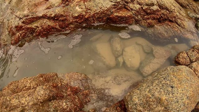 January 12, 2024 - Nai Harn, Phuket Thailand. A pool of water in the rocks that has a school of small fish living in it.