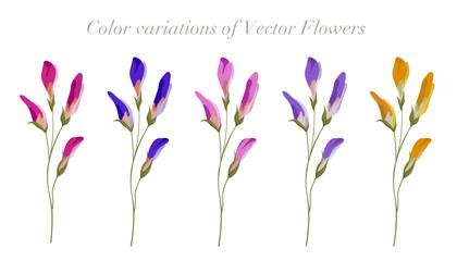 Color variation of flowers. Vector illustration.