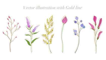 WSpring flower and leaf illustration with gold line. Simple and flat design botanical flowers vector illustration set.