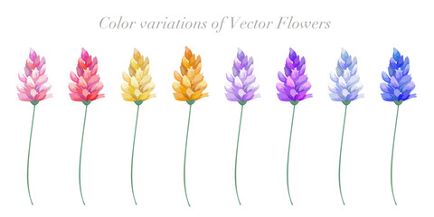 Color variation of flower set. Vector illustration.