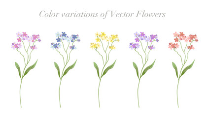 Color variation of flower set. Small flowers vector illustration.