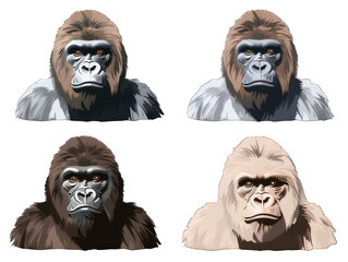Set of gorilla isolated on transparent background, transparency image, removed background