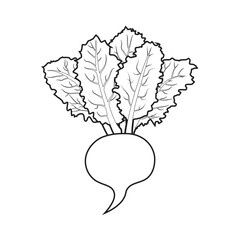 Beetroot with Leaves. Woodcut radish or beets. beet vegetable cartoon for web banner. Editable stroke. Vector illustration EPS 10.