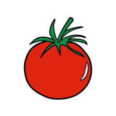 Red tomato vector illustration isolated on white background