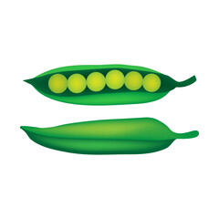 Green peas in a pod isolated on white background. vector illustration.