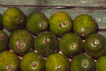 Pile of green avocado background