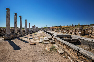 The ruins of the ancient city of Perge. 