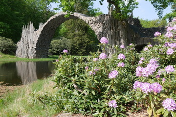 Rakotzbrücke im Kromlauer Park mit blauem Rhododendron