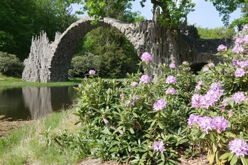 Zelfklevend Fotobehang Rakotzbrücke Rakotzbrücke im Kromlauer Park mit blauem Rhododendron