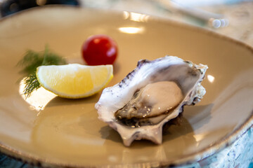 Single oyster on the half shell