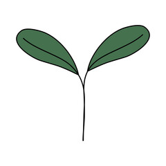 Fresh young plant sprout, spring design element, vector