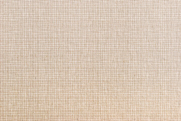 An illustration of beige canvas with cross hatch pattern as background