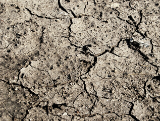 A surface of arid soil as background