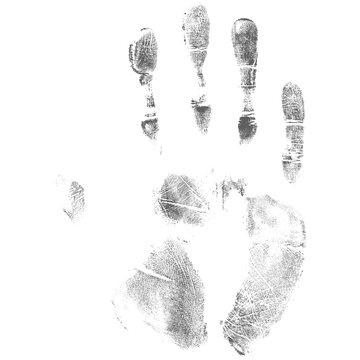 hand print