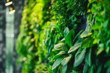 Fotobehang Green living wall with perennial plants in modern office. Urban gardening landscaping interior design. Fresh green vertical plant wall inside office © MVProductions
