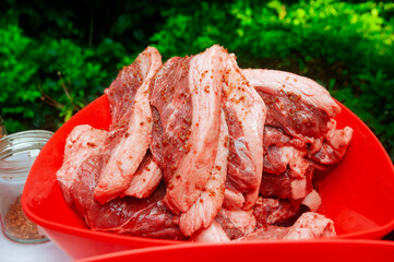Raw beef in natural light, seasoned and prepared for churrasco, Latin lunch in garden space - 753336441