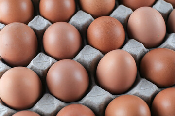 Raw chicken eggs in egg carton on white background. Natural healthy food and organic farming concept.