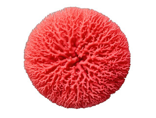coral round blank circle isolated on transparent background, transparency image, removed background