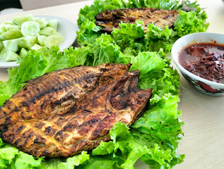 Main portion of  grilled fish served on plate with lettuce.
