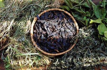 Fototapeta premium raw material for hair herbal shampoo from natural ingredient as