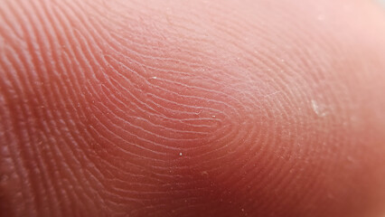 Fototapeta premium Fingerprint pattern