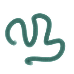 Fototapeta premium Colourful Squiggly Line Decoration