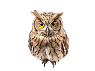 owl isolated on transparent background, transparency image, removed background